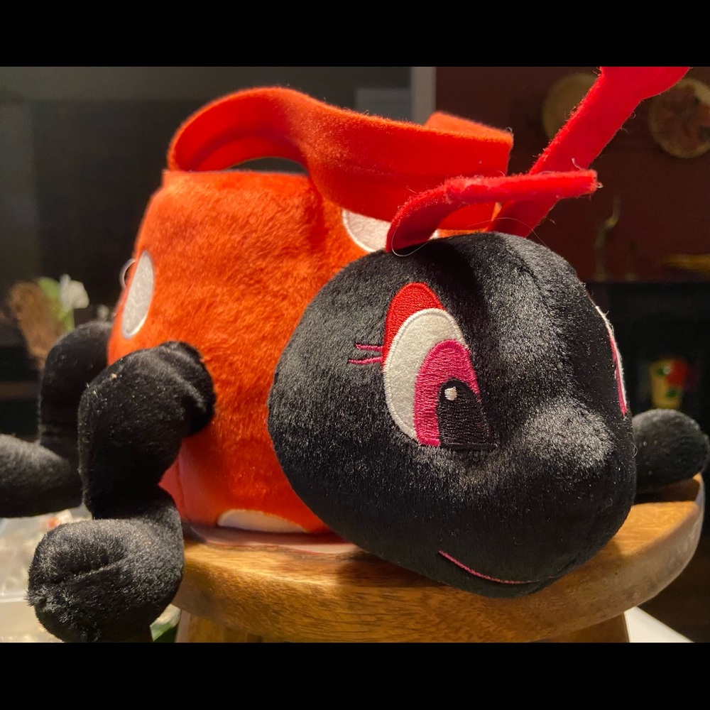 Lady bug Easter basket